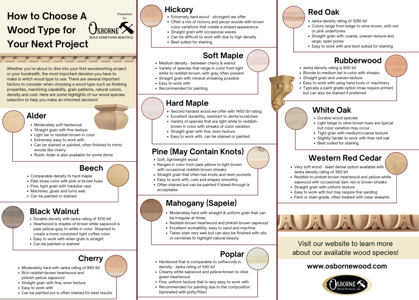 How to Choose a Wood Type Infographic 2026